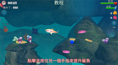双头鲨