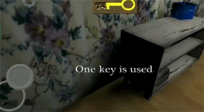 兰德里纳河的孩子