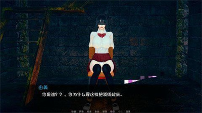 失踪的少女游戏下载