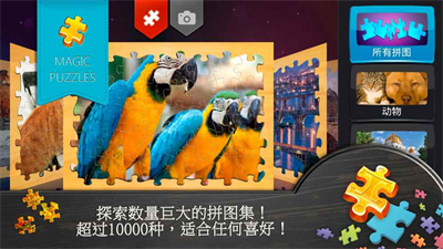 魔法拼图最新版无限金币版