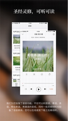 微读圣经免费下载2023版