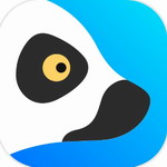 狐猴浏览器2023