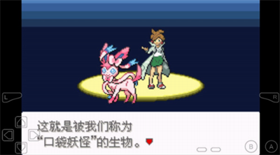 口袋妖怪永恒之沫