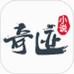 奇迹小说