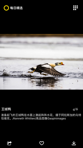 国家地理2022