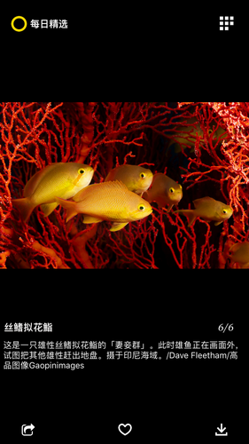 国家地理2022