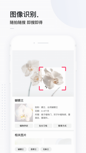 简单搜索app下载安装2024版