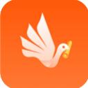 掌上志愿下载app安卓版