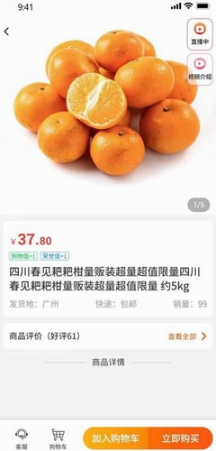 每日乡村2024