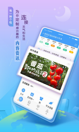 墨迹天气手机版2024