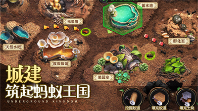 小小蚁国最新版无限金币版