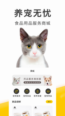 有只宠物