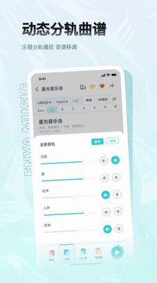 恩雅音乐