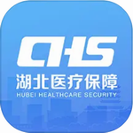 湖北智慧医保