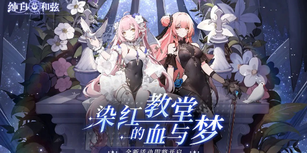 纯白和弦兑换码2024