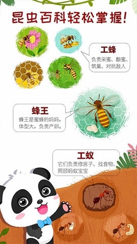 奇妙昆虫世界