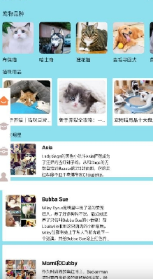 密聊猫咪
