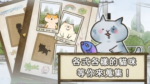 猫箱