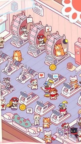 猫咪健身房(KittyGymIdleCatGames)