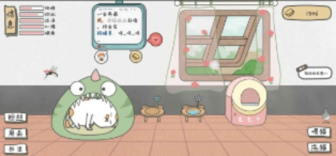 主播和猫的故事