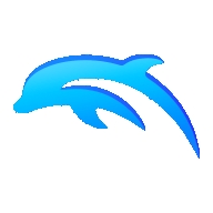 Dolphin Emulator(海豚模拟器)中文版