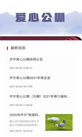 邢小信app