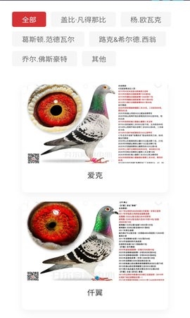 邢小信app