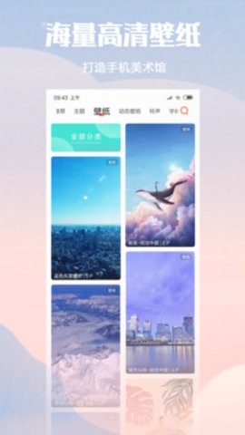 小米主题国际版(Themes)