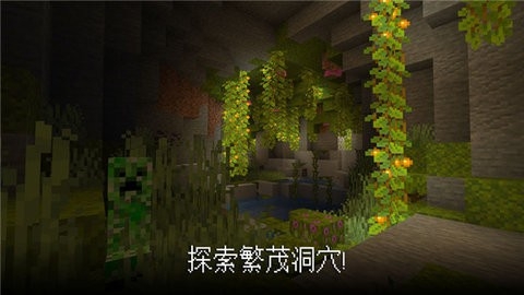 苦力怕论坛1.21版(Minecraft)