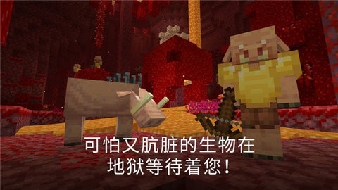 苦力怕论坛1.21版(Minecraft)