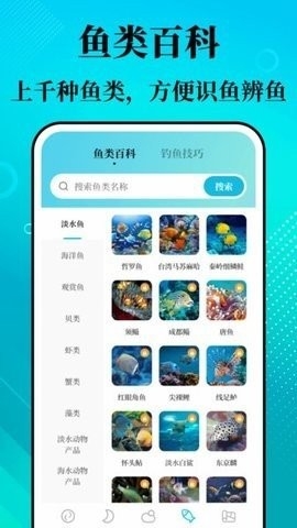 潮汐精灵官方版