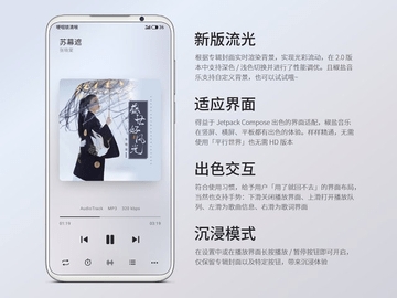 椒盐音乐车机版(Salt Player)