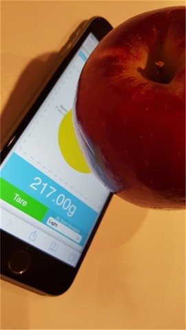 安卓手机屏幕电子秤app(touchscale)