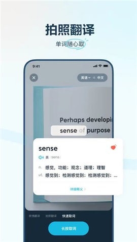 有道翻译官(DearTranslate)