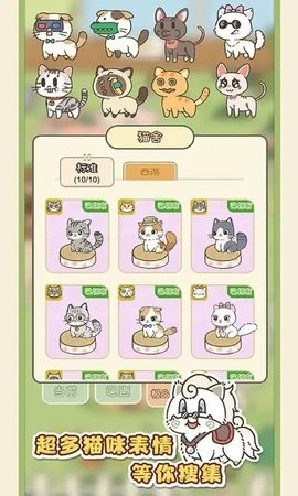 找下猫