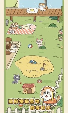 找下猫