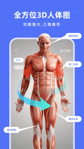 解剖学