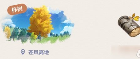 原神桦木在哪儿里？原神桦木位置大全