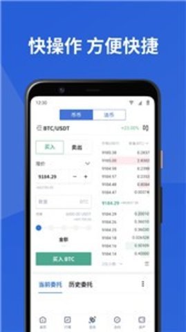 btcoin100v1.3