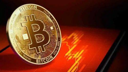 未来CCOIN币的发展前景如何？