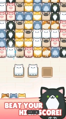 拥堵的盒子猫(BoxCatJam)