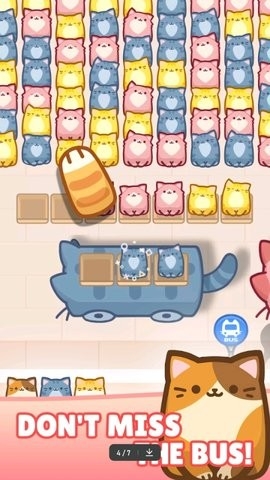 拥堵的盒子猫(BoxCatJam)