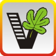 我要自学网手机app