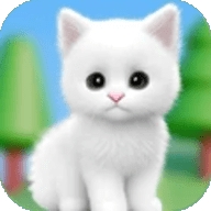 被迫营业的猫猫