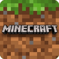 我的世界行尸走肉(Minecraft)