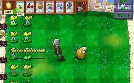 植物大战僵尸资本家版(pvzrh)