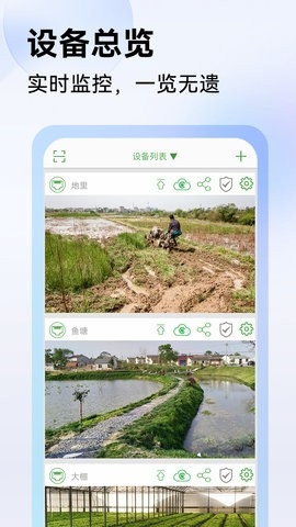 Seetong客户端