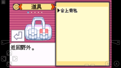 口袋怪兽火红版