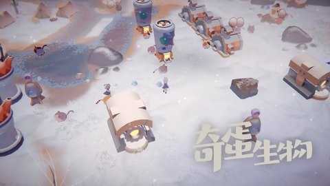 奇蛋生物正版