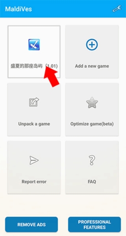 maldives模拟器